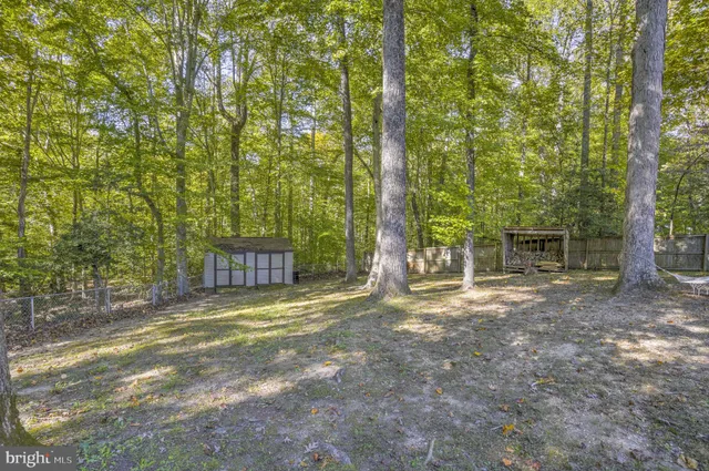 a view of a yard with plants and trees