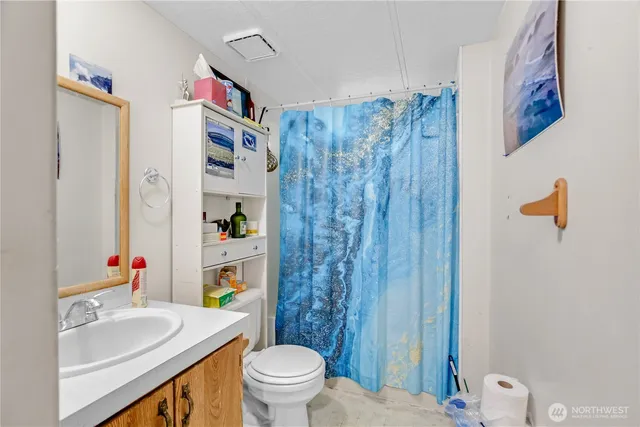 a bathroom with a sink a toilet and shower curtain