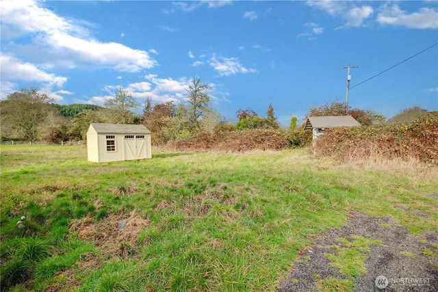 a view of a big yard with large trees