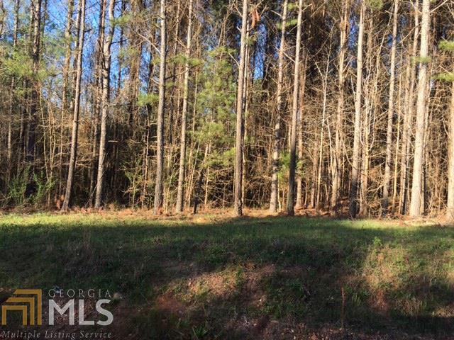 0 Jones Road, Unit LOT 2 Molena, GA 30258 - Photo 1 of 1 a view of a city