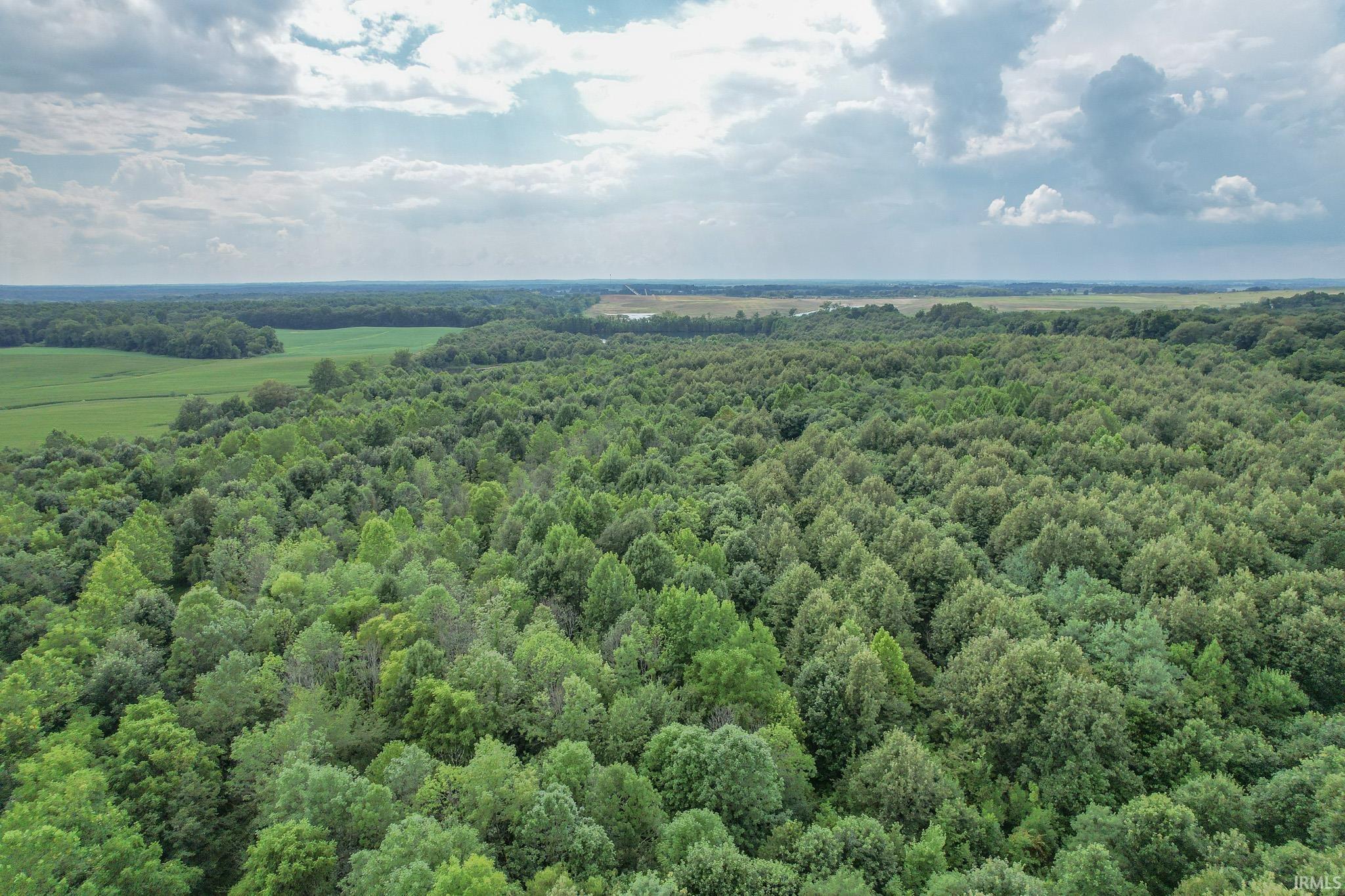 3626 Doerner Road Lynnville, IN 47619 - Photo 4 of 5