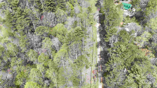 a view of plant in middle of green field