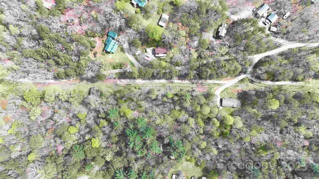 a view of lush green forest