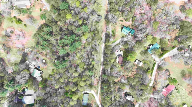 a view of swimming pool from a garden