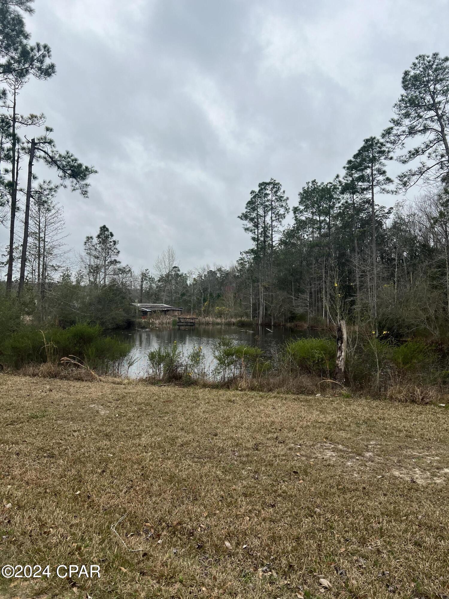 1534 Jarous Road Cottondale, FL 32431 - Photo 11 of 31 Gallery Image 11