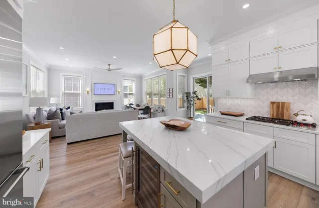 a living room with furniture a fireplace and a potted plant