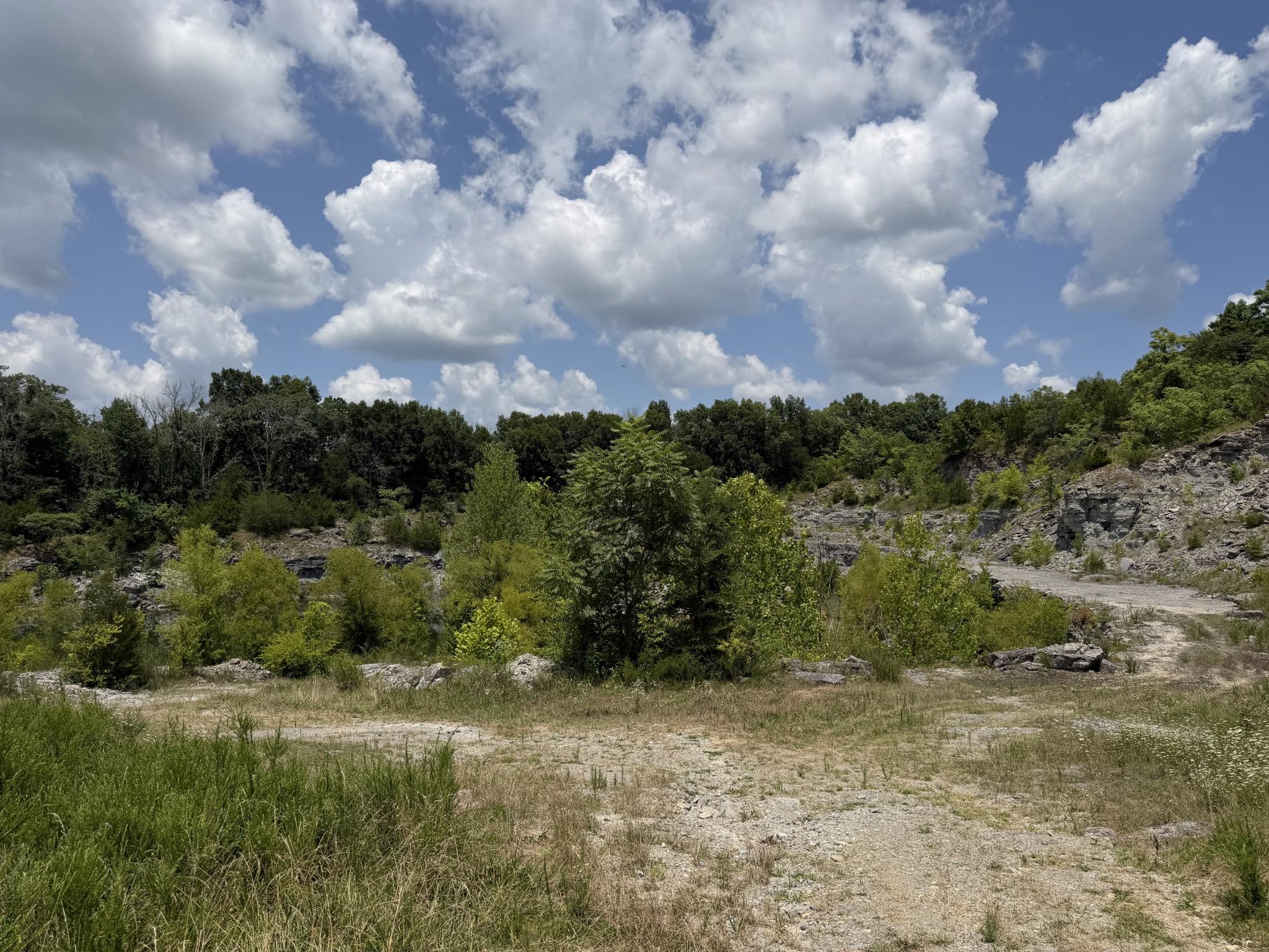 0 Winchester Highway Kelso, TN 37348 - Photo 37 of 46