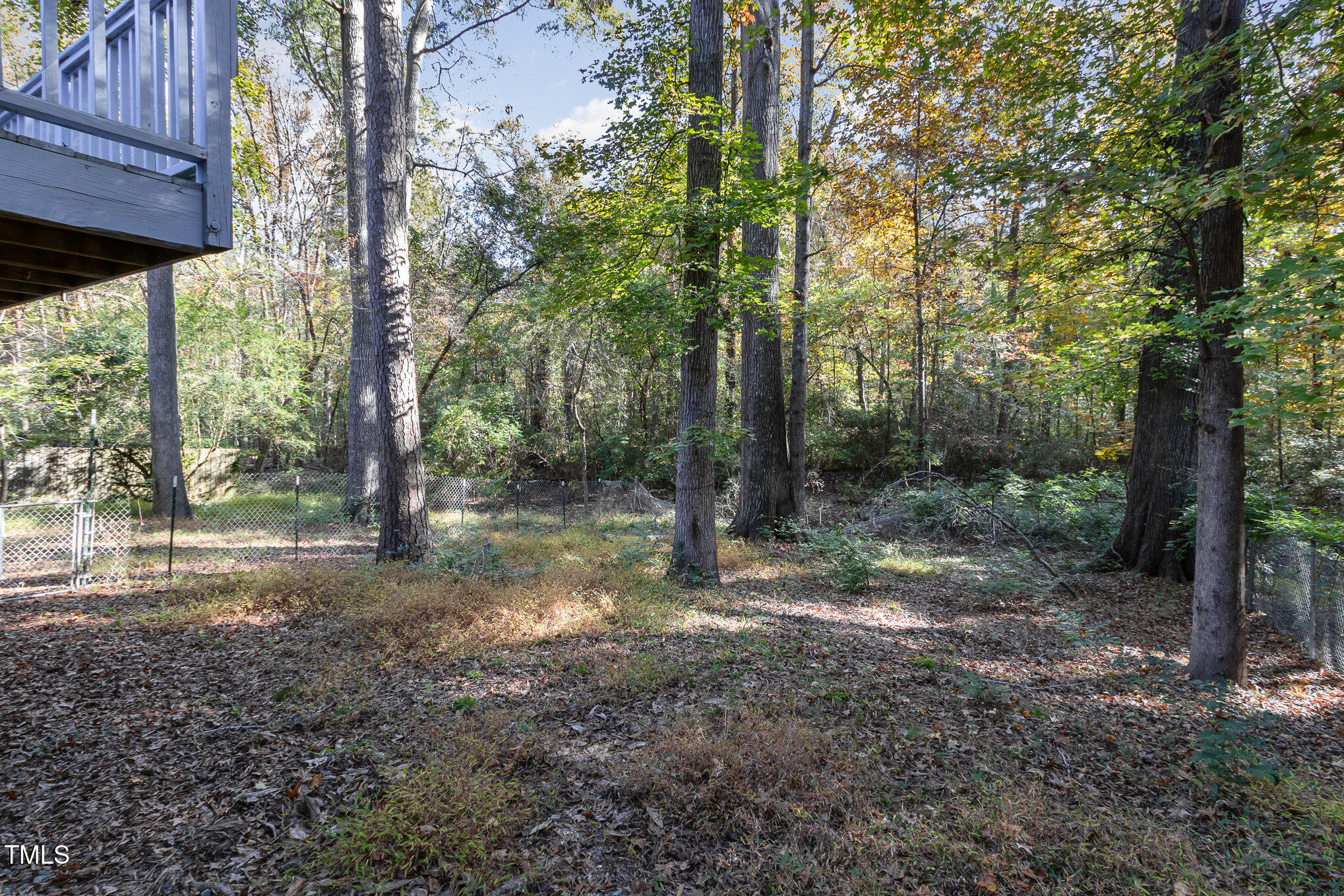 427 Ridgefield Road Chapel Hill, NC 27517 - Photo 24 of 27 a view of a forest with trees