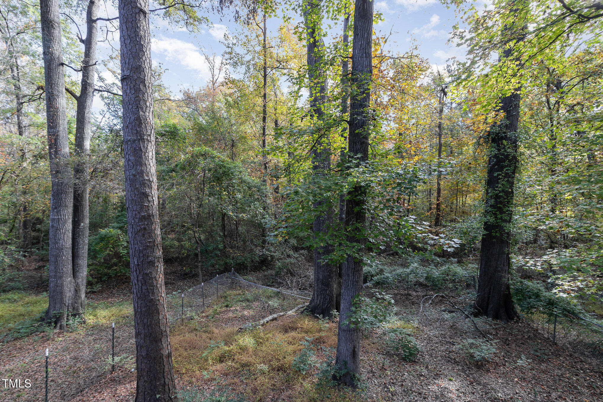 427 Ridgefield Road Chapel Hill, NC 27517 - Photo 27 of 27 a view of a forest