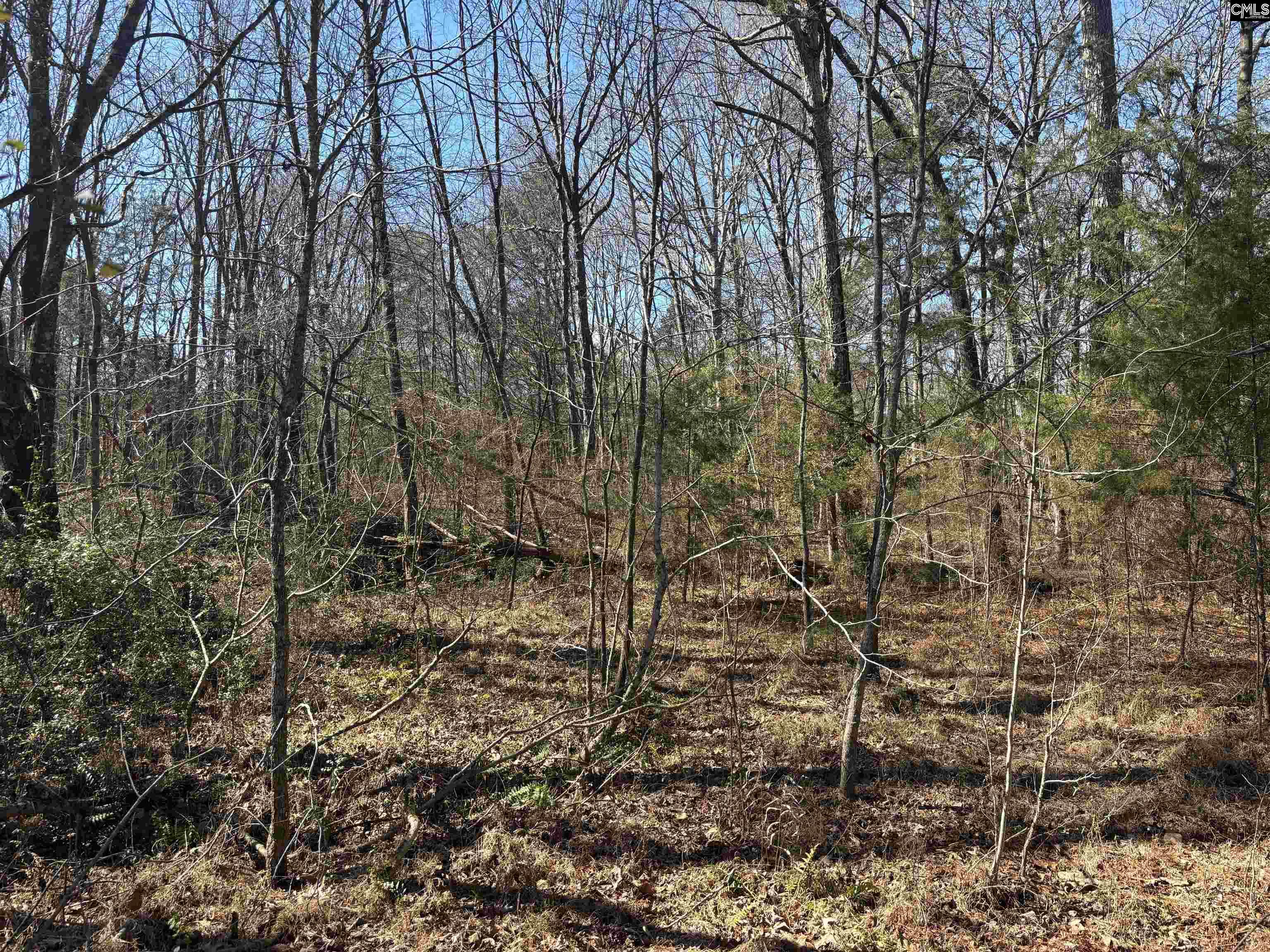 0 Bethany Road Saluda, SC 29138 - Photo 24 of 24