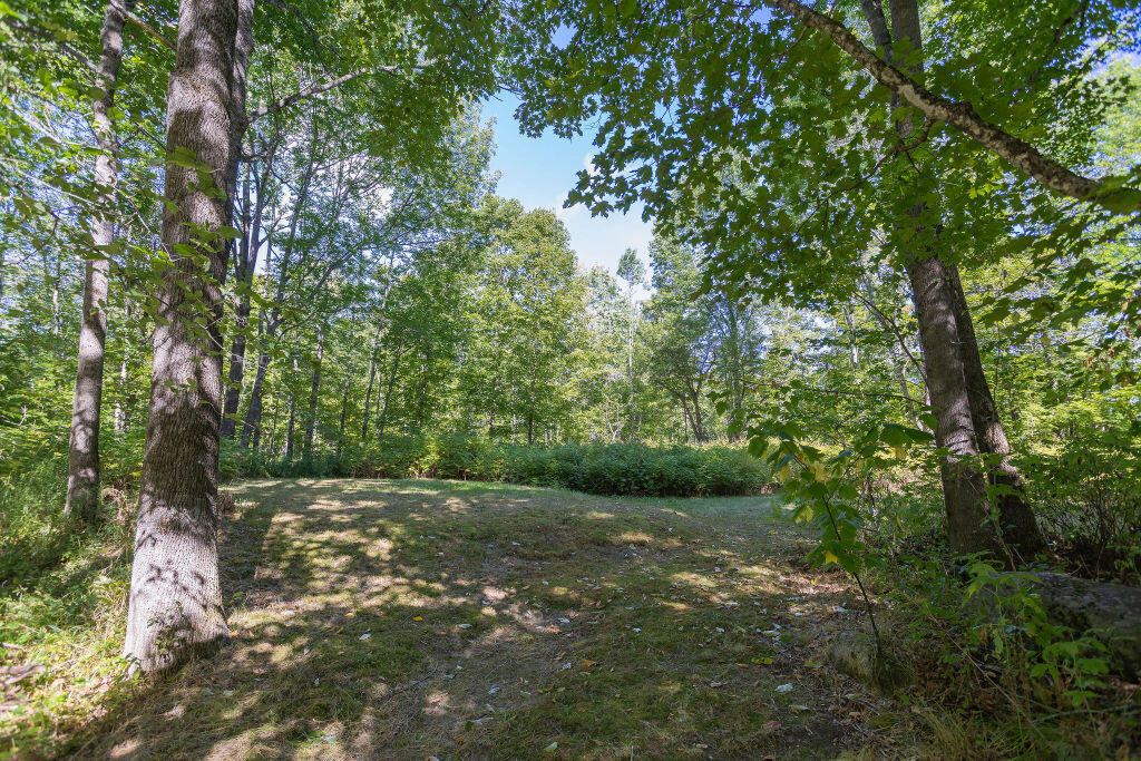 815 West Side Road Weld, ME 04285 - Photo 28 of 35 taylor-kaminsky-photo-6