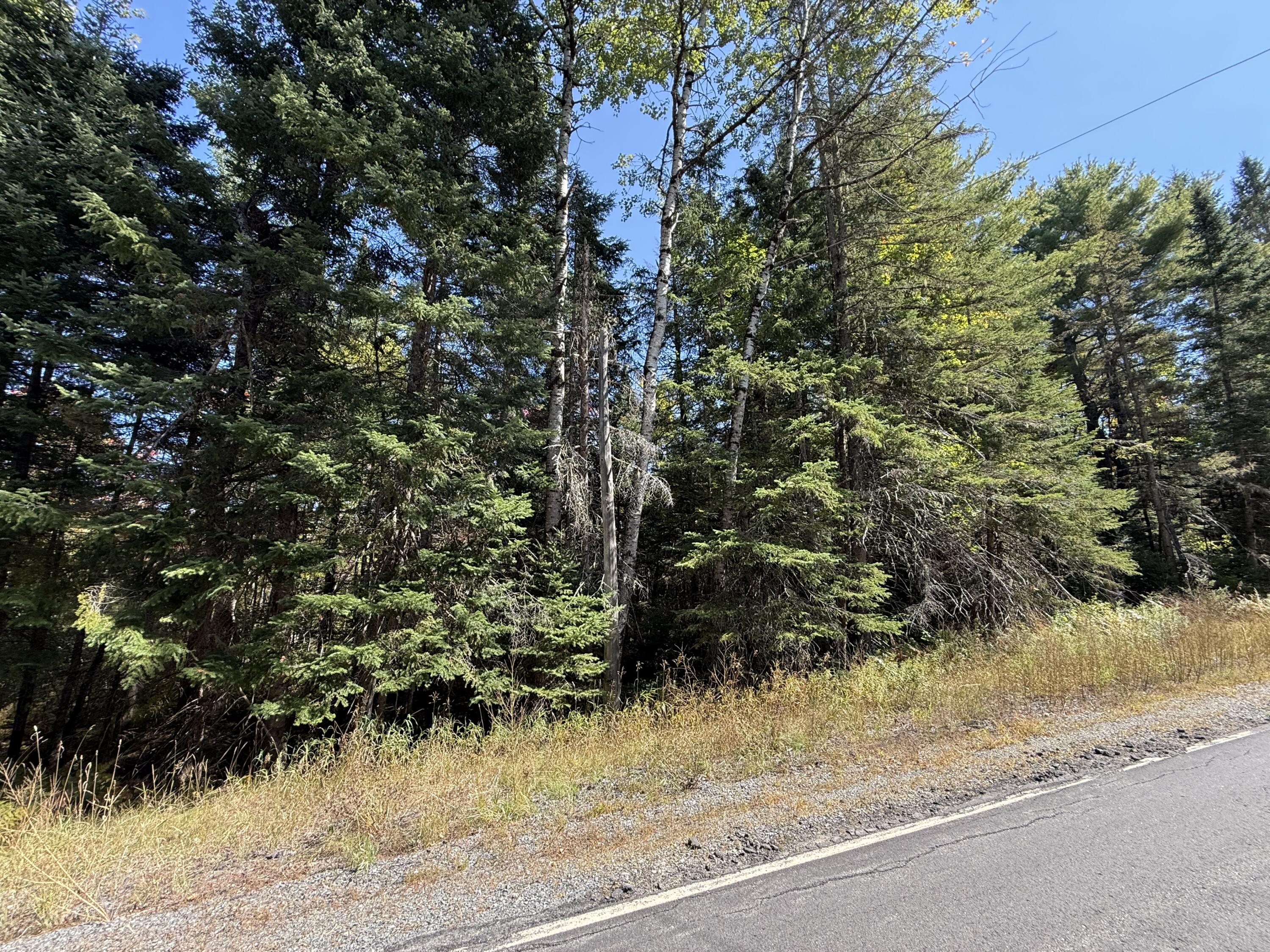 M3-l39.2 Silver Ridge Road Kingman, ME 04451 - Photo 3 of 8 IMG_2801