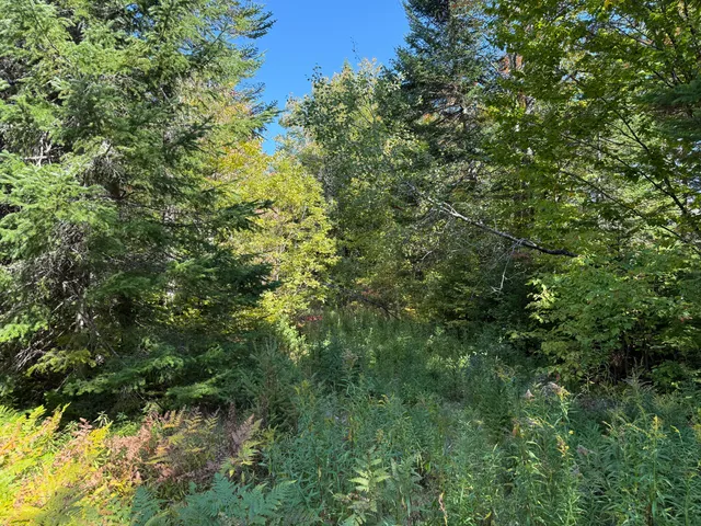 $22,900 | M3-l39.2 Silver Ridge Road, Kingman, ME 04451