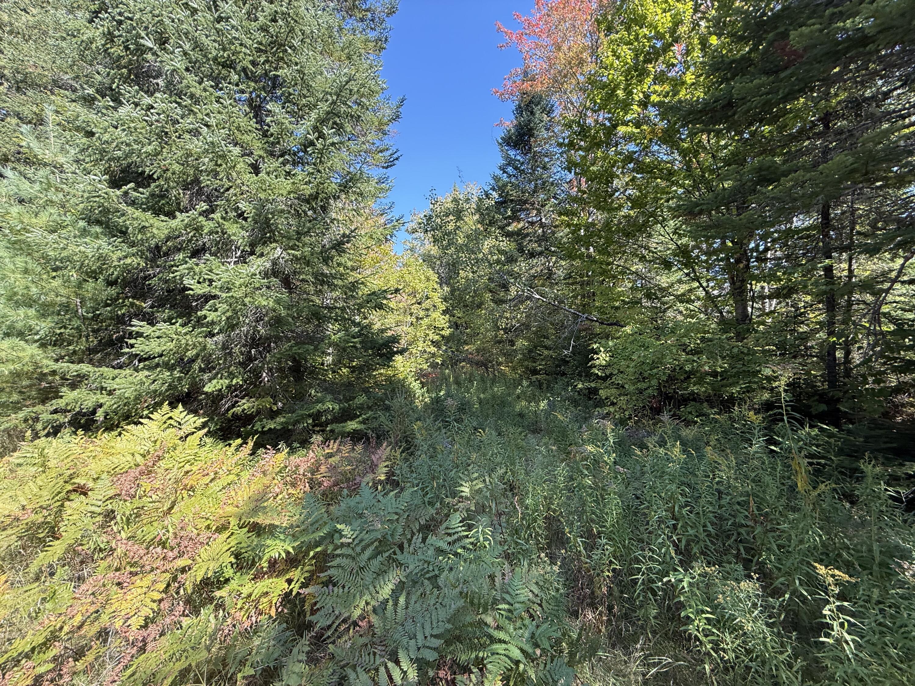 M3-l39.2 Silver Ridge Road Kingman, ME 04451 - Photo 5 of 8 IMG_2803