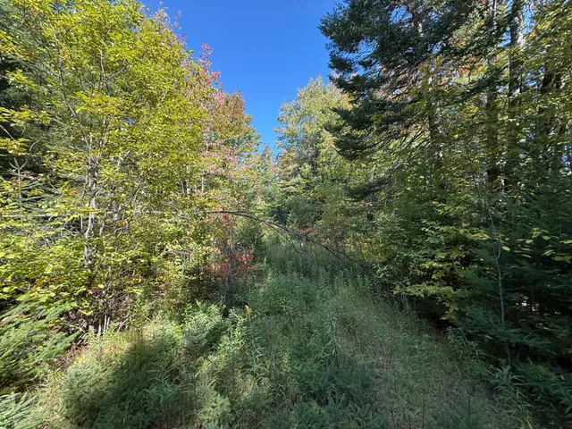 $22,900 | M3-l39.2 Silver Ridge Road, Kingman, ME 04451