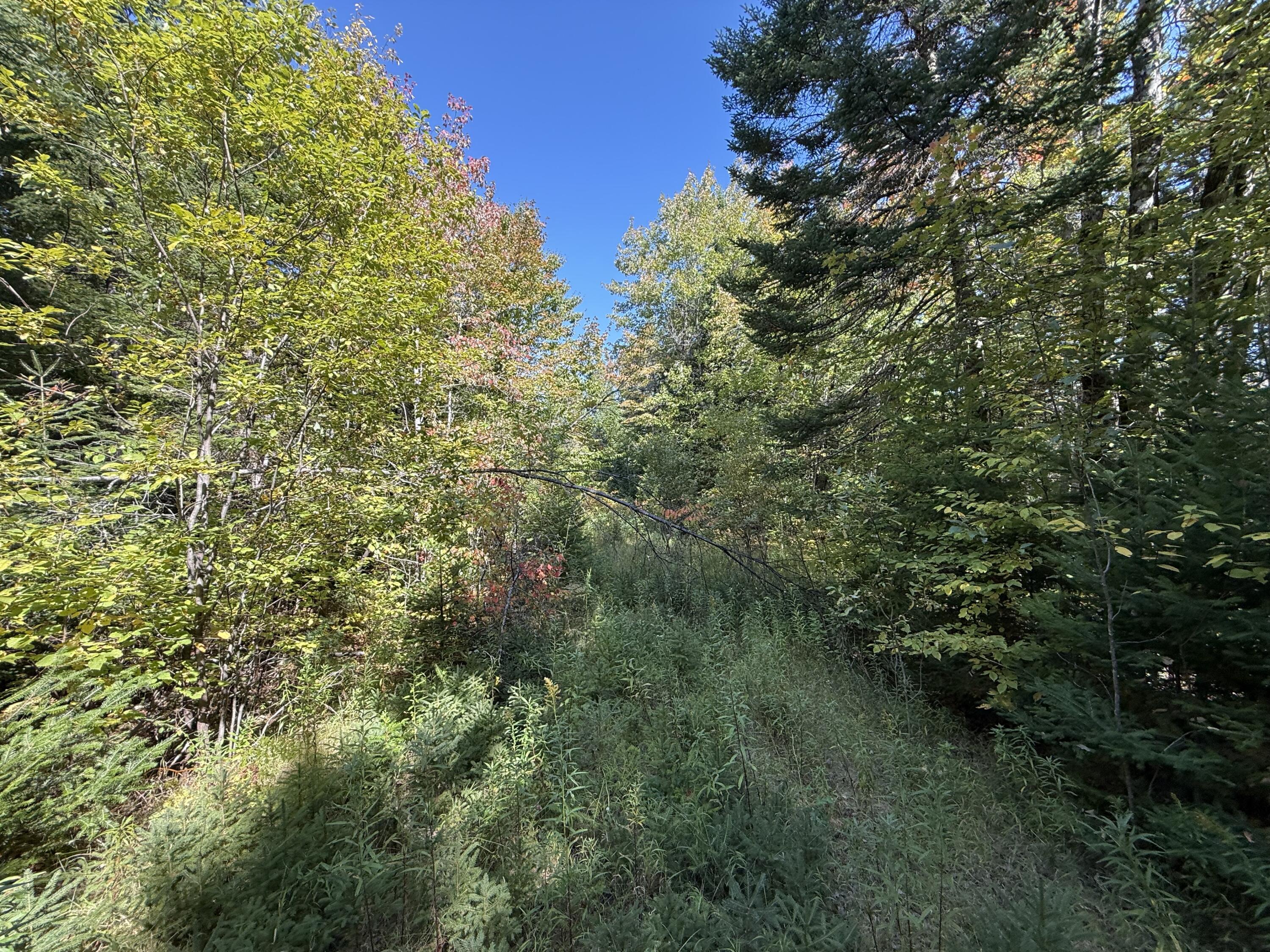 M3-l39.2 Silver Ridge Road Kingman, ME 04451 - Photo 6 of 8 IMG_2804