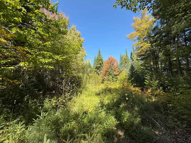 $22,900 | M3-l39.2 Silver Ridge Road, Kingman, ME 04451