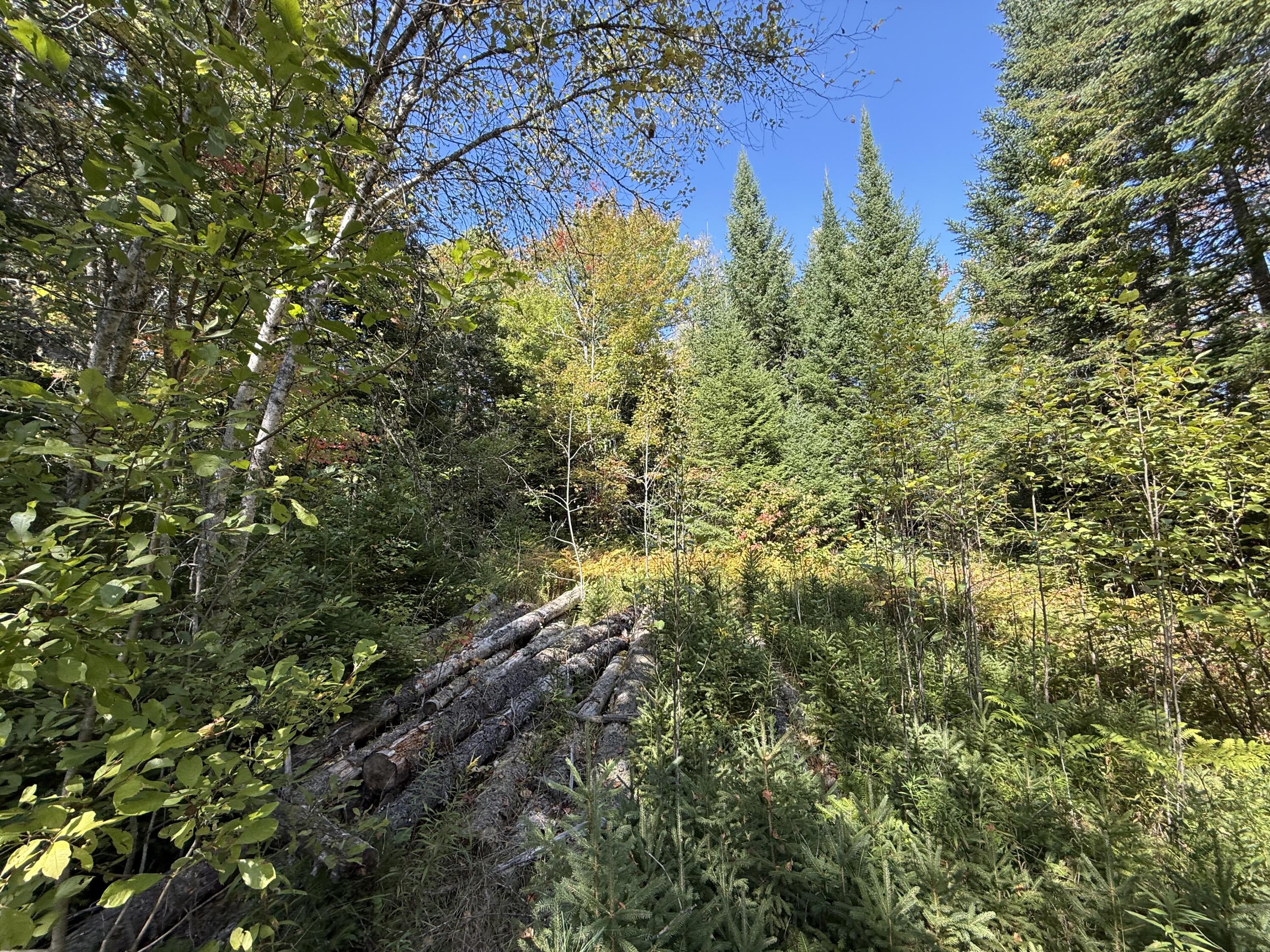 M3-l39.2 Silver Ridge Road Kingman, ME 04451 - Photo 8 of 8 IMG_2806