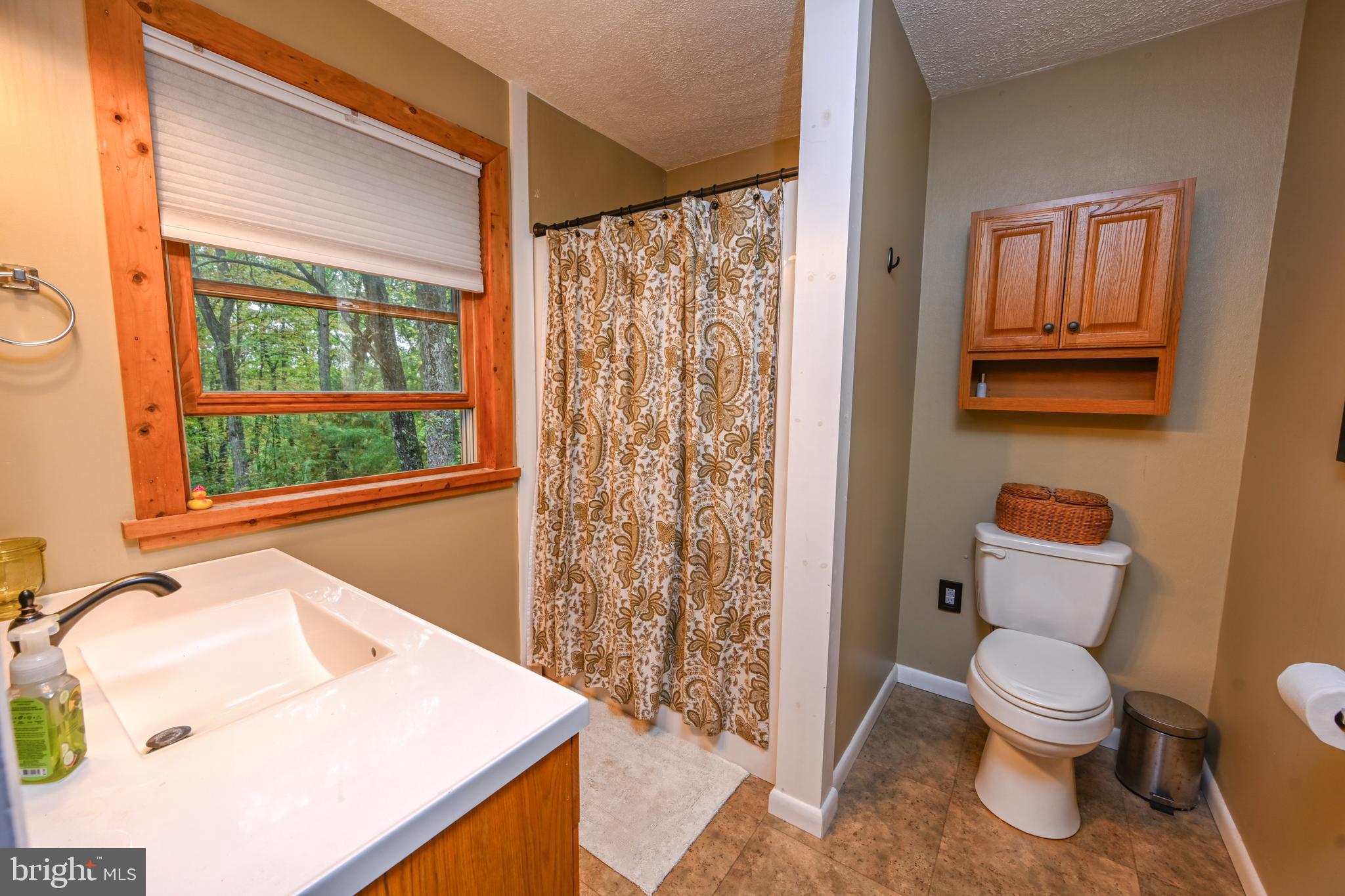 120 Tooth Pick Road Swanton, MD 21561 - Photo 36 of 51 Bedroom 2 primary bathroom / 2nd full bath