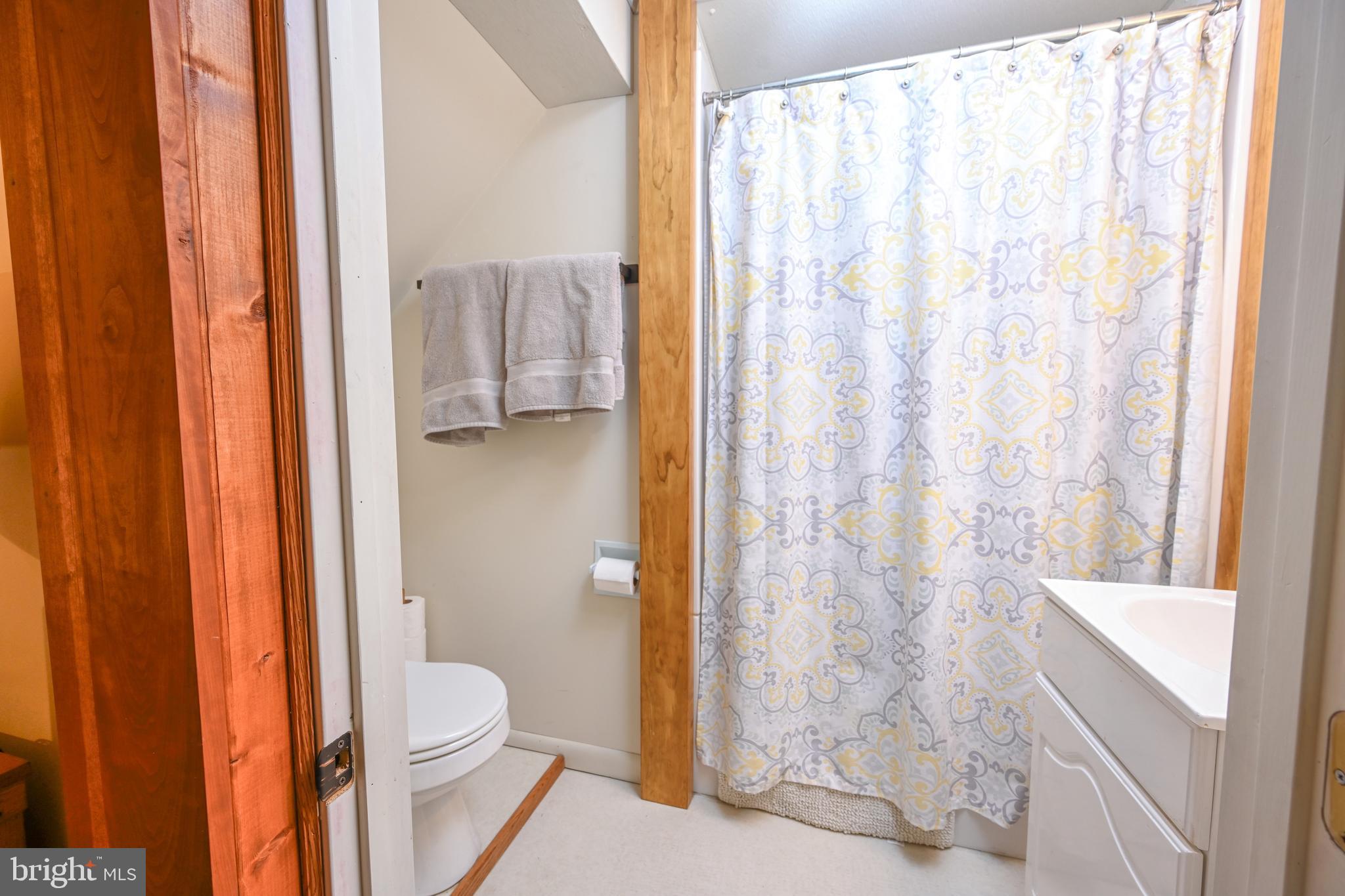 120 Tooth Pick Road Swanton, MD 21561 - Photo 40 of 51 bedroom 3 primary bathroom / 3rd full bath