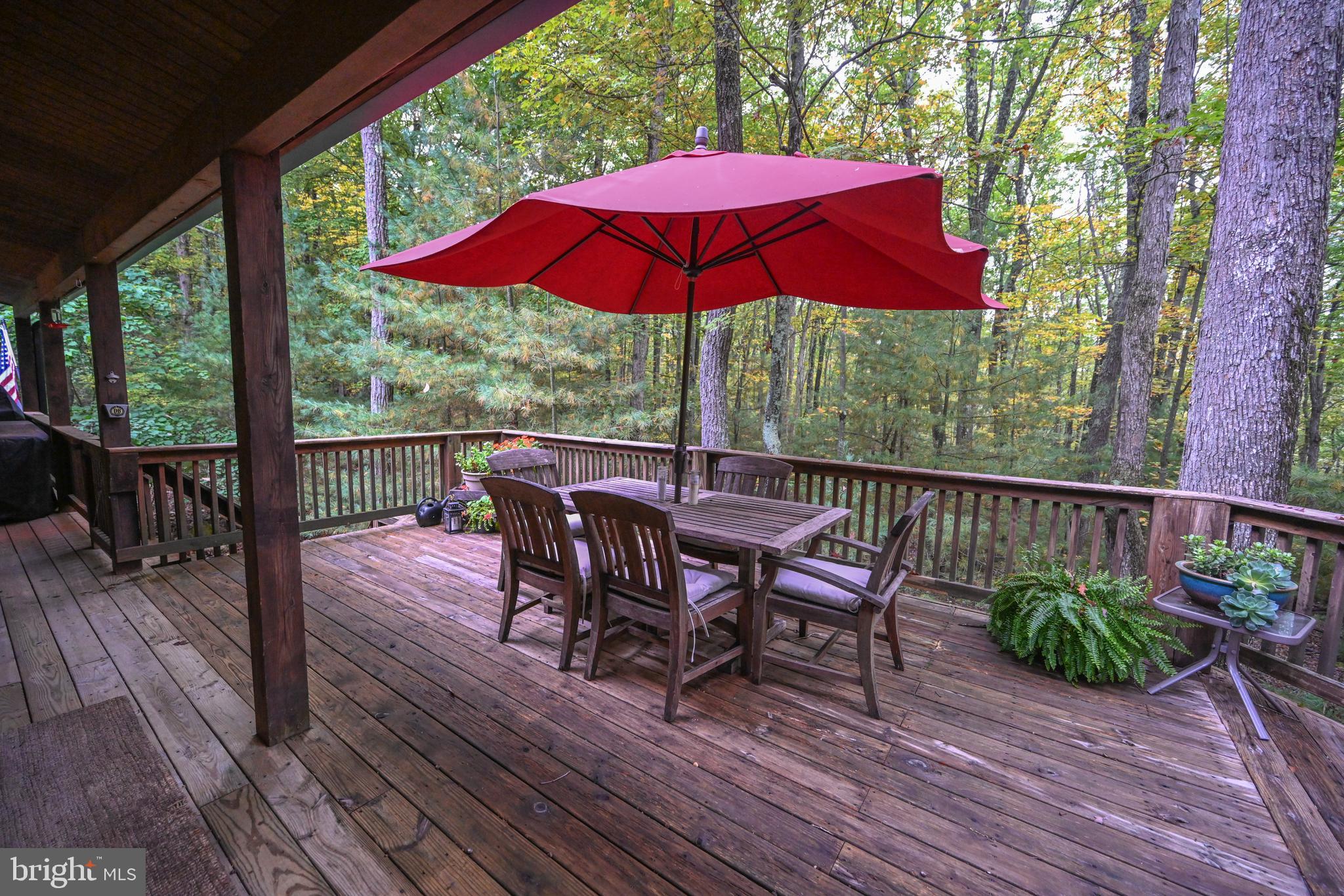120 Tooth Pick Road Swanton, MD 21561 - Photo 50 of 51 Gallery Image 50