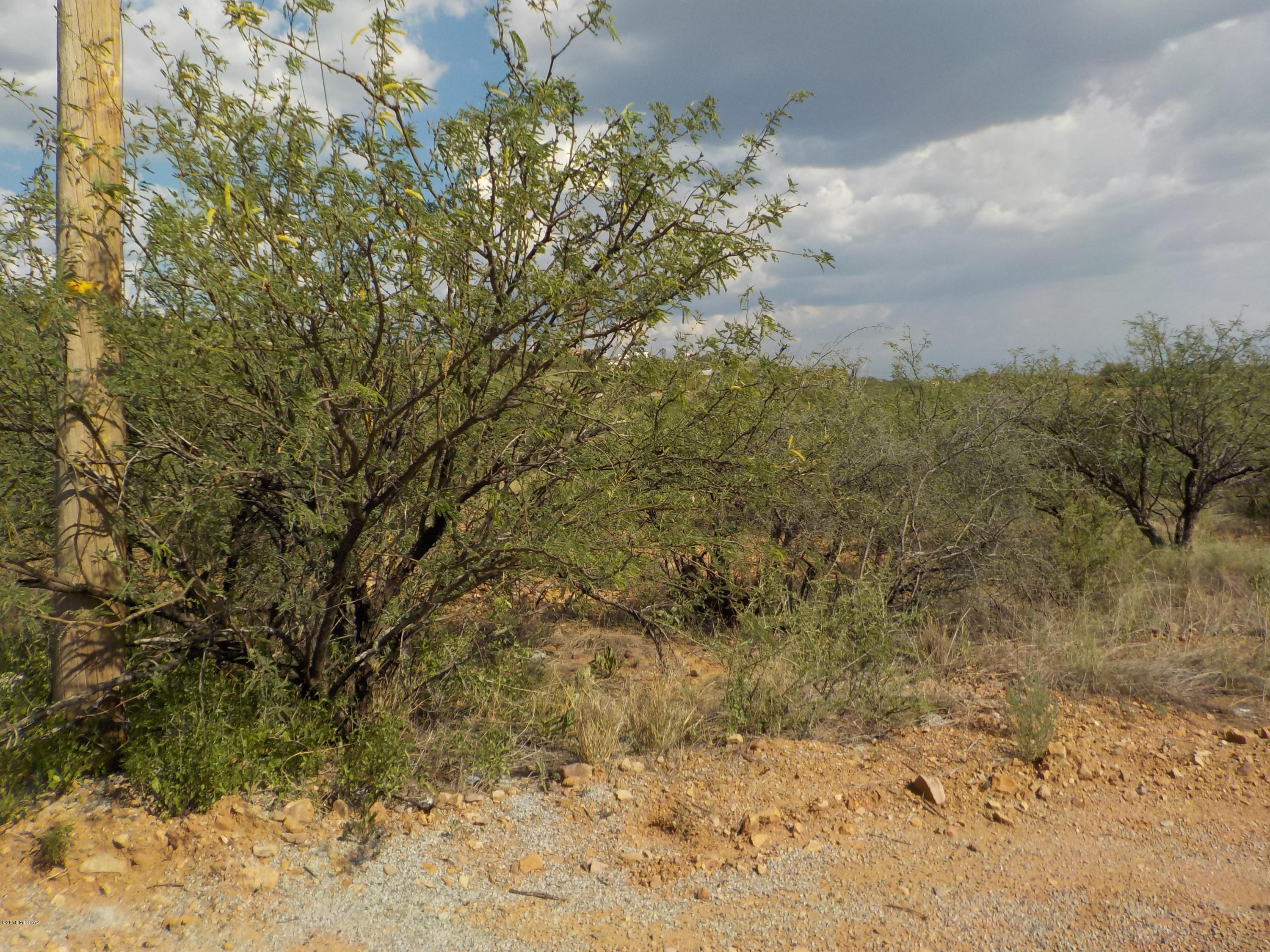 1306 Oficio Court, Unit 52 Rio Rico, AZ 85648 - Photo 3 of 4