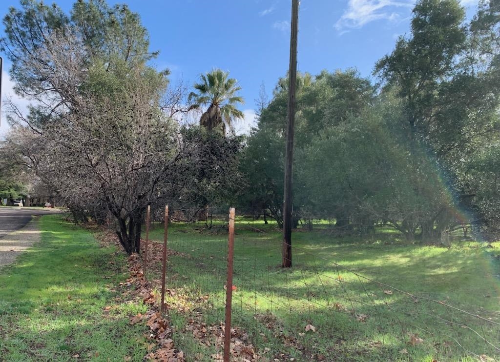 Lot A Walnut Street Red Bluff, CA 96080 - Photo 18 of 19