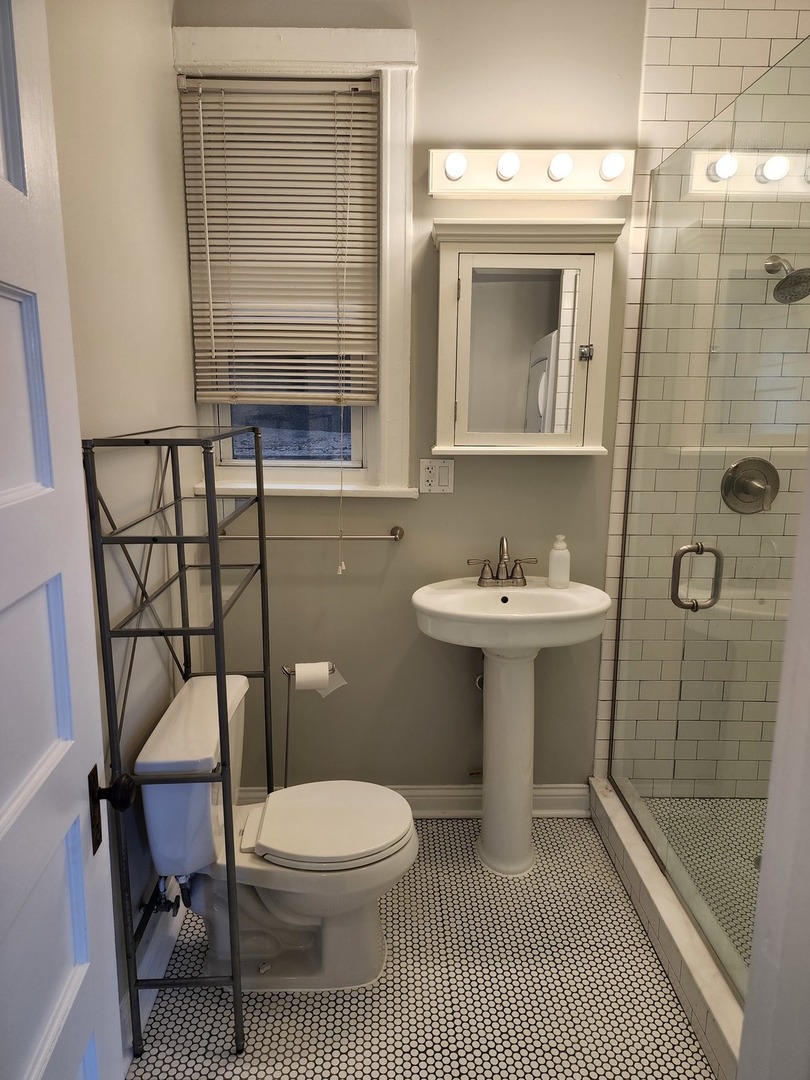 5225 North Clark Street, Unit 2 Chicago, IL 60640 - Photo 12 of 21 a bathroom with a sink a toilet and shower