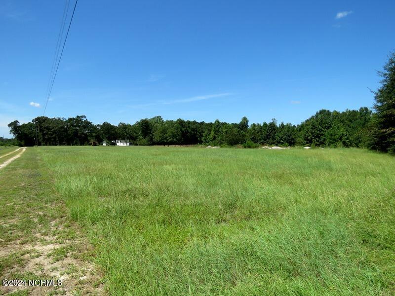 4512 Tobacco Road Orrum, NC 28369 - Photo 17 of 50 Gallery Image 17