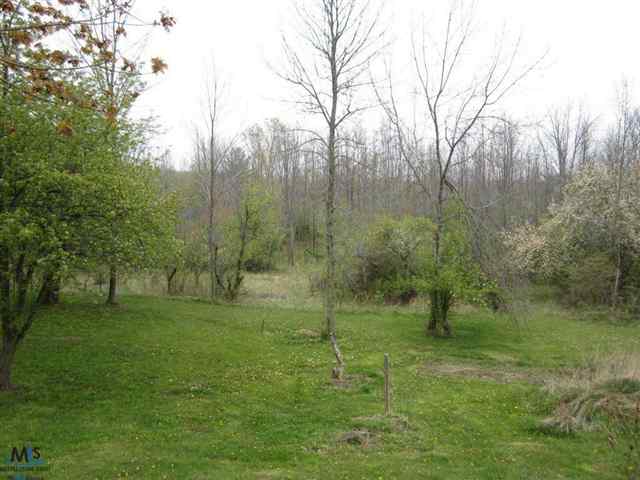 6505 Sheridan Line Road Lexington, MI 48450 - Photo 4 of 10 31103989-3.JPG