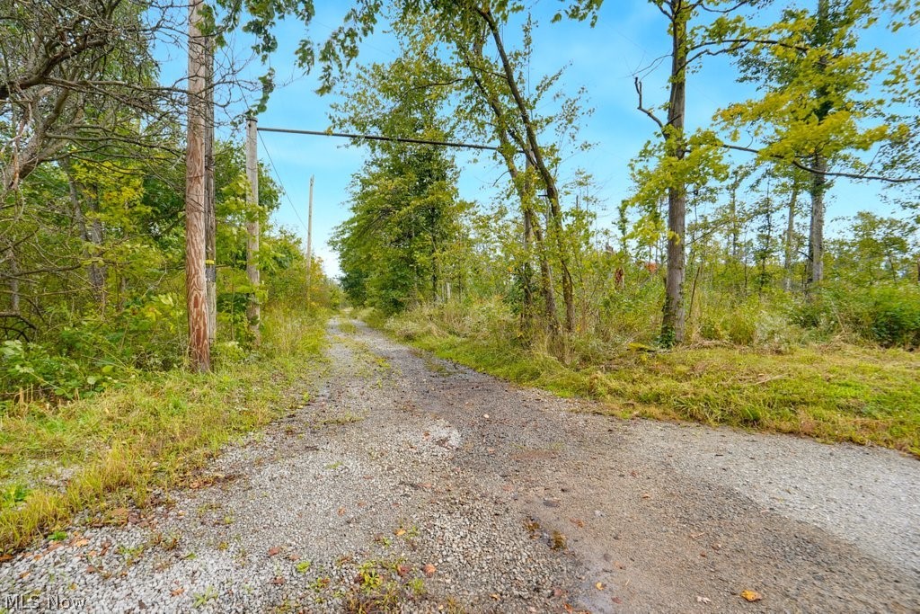 3705 Alexander Road Atwater, OH 44201 - Photo 5 of 13 Private gravel driveway with electric utility poles located on the property
