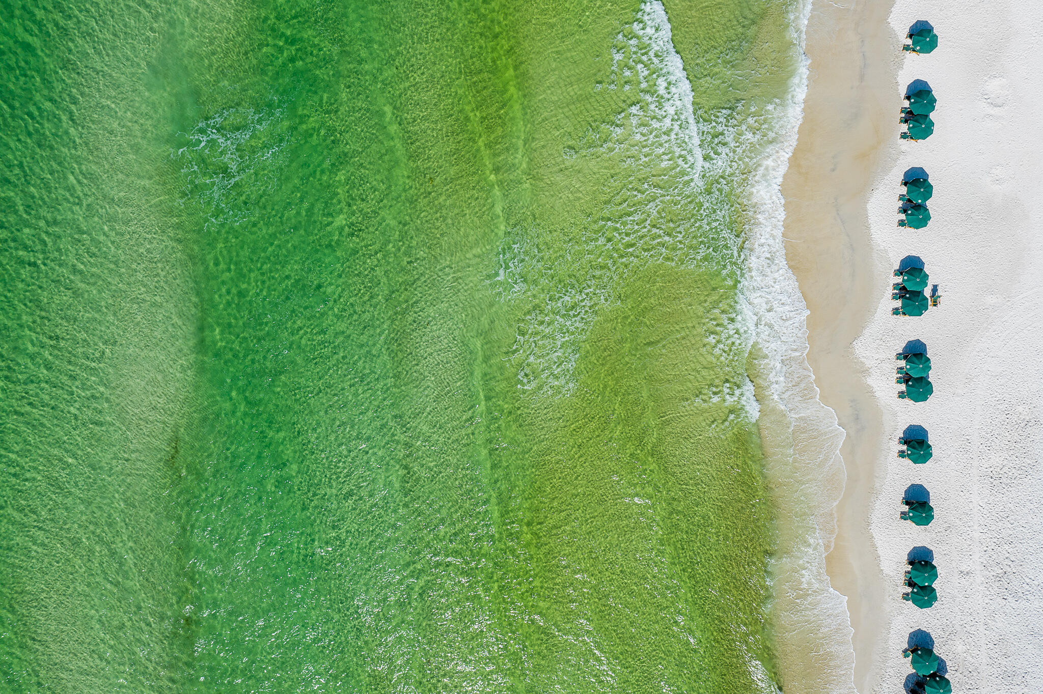 78 North Barrett Square, Unit 4 Inlet Beach, FL 32461 - Photo 36 of 36 Rosemary Beach