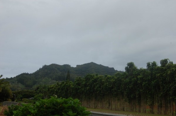 6224 Holio Road Kapaa, HI 96746 - Photo 11 of 14 a view of a city with a mountain in the background