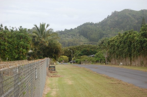 6224 Holio Road Kapaa, HI 96746 - Photo 13 of 14 a view of a dry yard with a house in the background