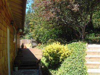 1205 Rim Of The Redwoods Road Sebastopol, CA 95472 - Photo 5 of 12 a view of a backyard