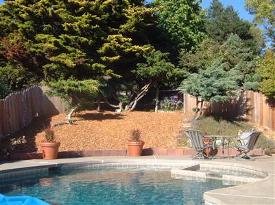 1205 Rim Of The Redwoods Road Sebastopol, CA 95472 - Photo 8 of 12 a view of outdoor space and yard