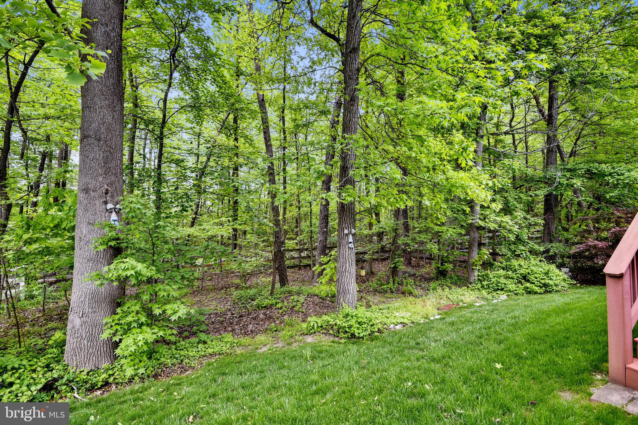 7762 Rotherham Drive Hanover, MD 21076 - Photo 46 of 65 Backyard