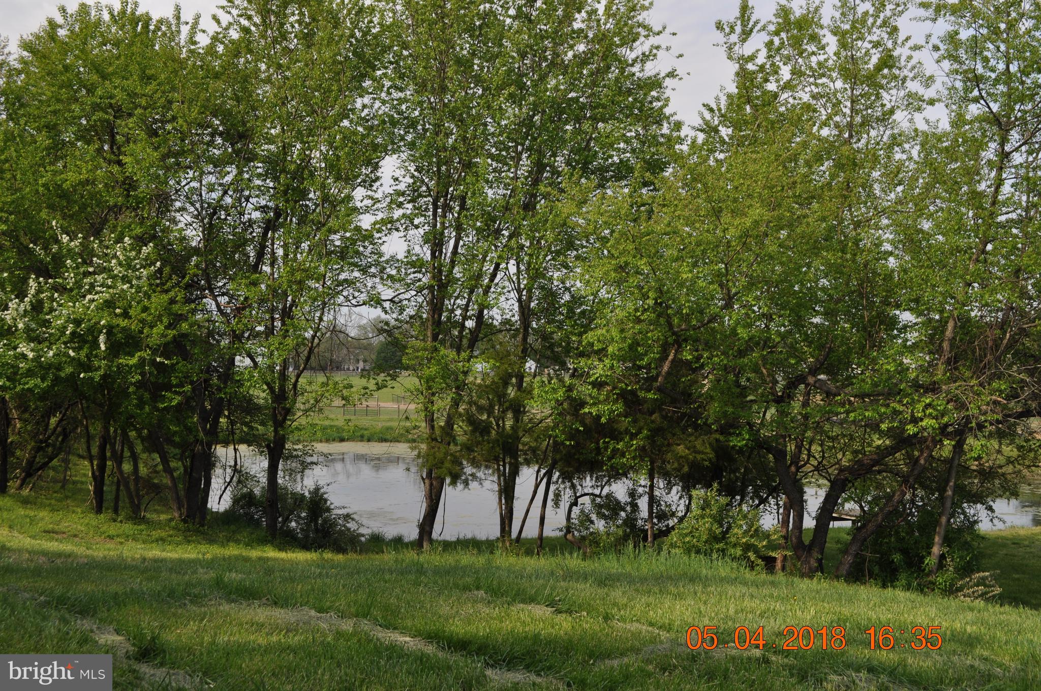 640 Vance Neck Road Middletown, DE 19709 - Photo 16 of 20 Gallery Image 16