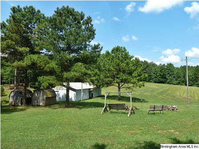1010 Mooney Road Columbiana, AL 35051 - Photo 22 of 24
