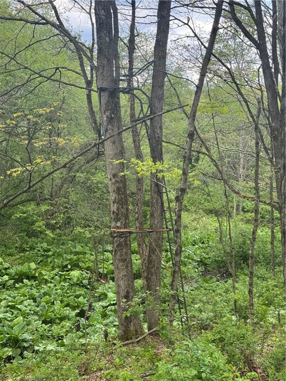 0 Grove Road Stoystown, PA 15563 - Photo 28 of 34