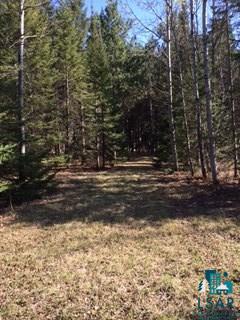 Two West Harbors Mn 55804 Road Two Harbors, MN 55616 - Photo 1 of 4