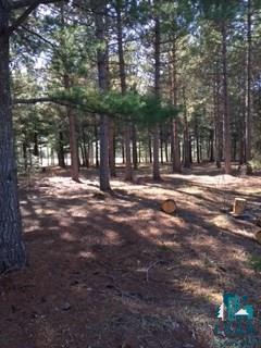 Two West Harbors Mn 55804 Road Two Harbors, MN 55616 - Photo 2 of 4