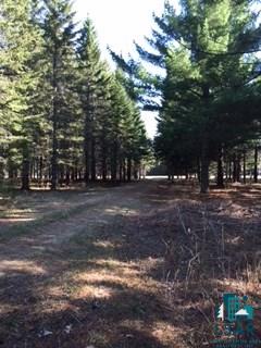 Two West Harbors Mn 55804 Road Two Harbors, MN 55616 - Photo 4 of 4
