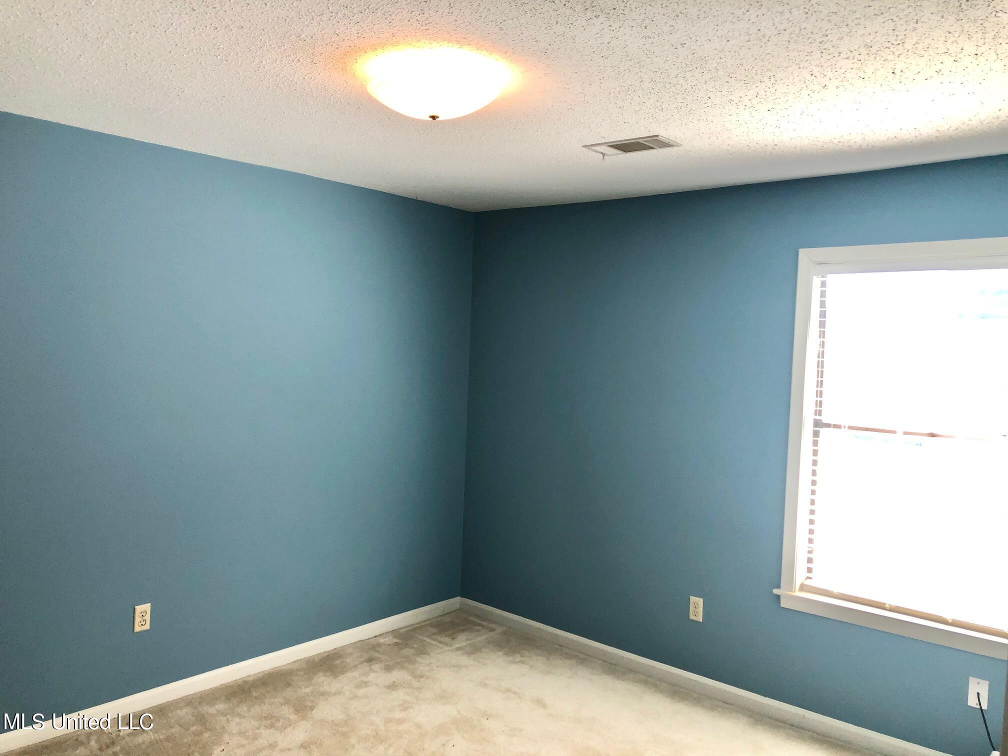 7151 Cedardale Road Olive Branch, MS 38654 - Photo 14 of 21 IMG_0432