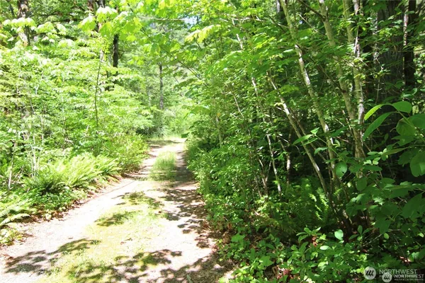 $49,500 | 0 Old Cascade Highway, Skykomish, WA 98288