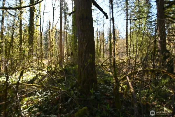 $49,500 | 0 Old Cascade Highway, Skykomish, WA 98288