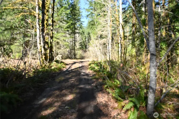 $49,500 | 0 Old Cascade Highway, Skykomish, WA 98288