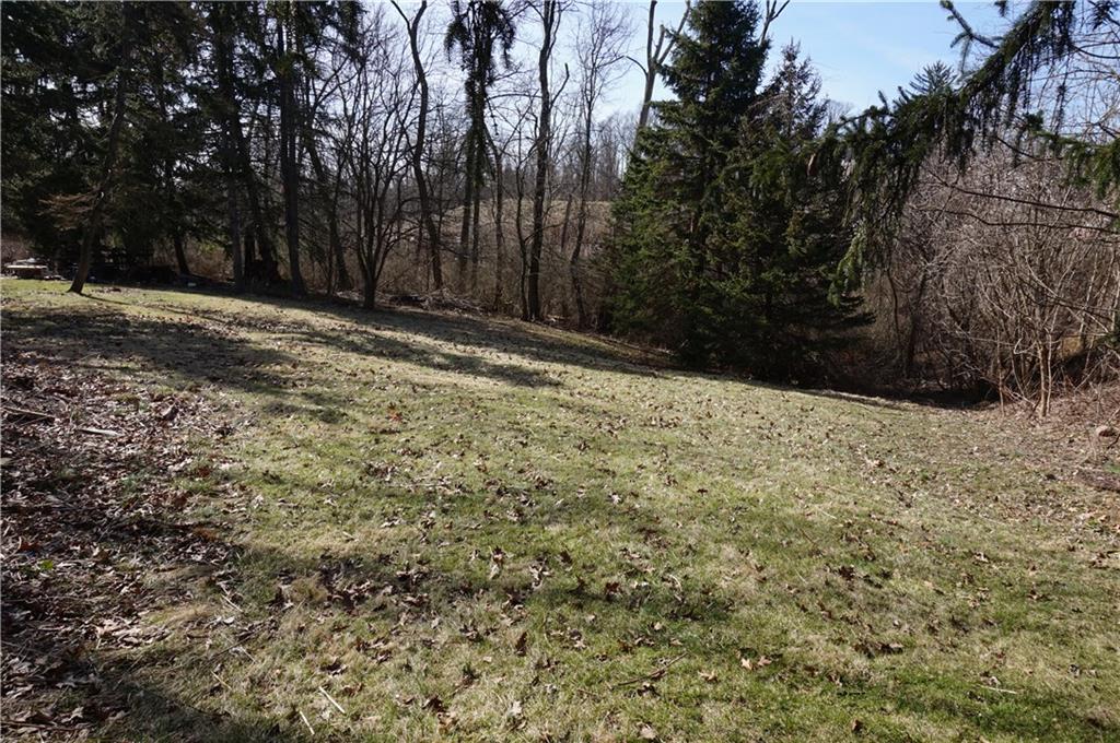 12 Tidball Road Pittsburgh, PA 15205 - Photo 8 of 14 LOWER LEVEL OF YARD