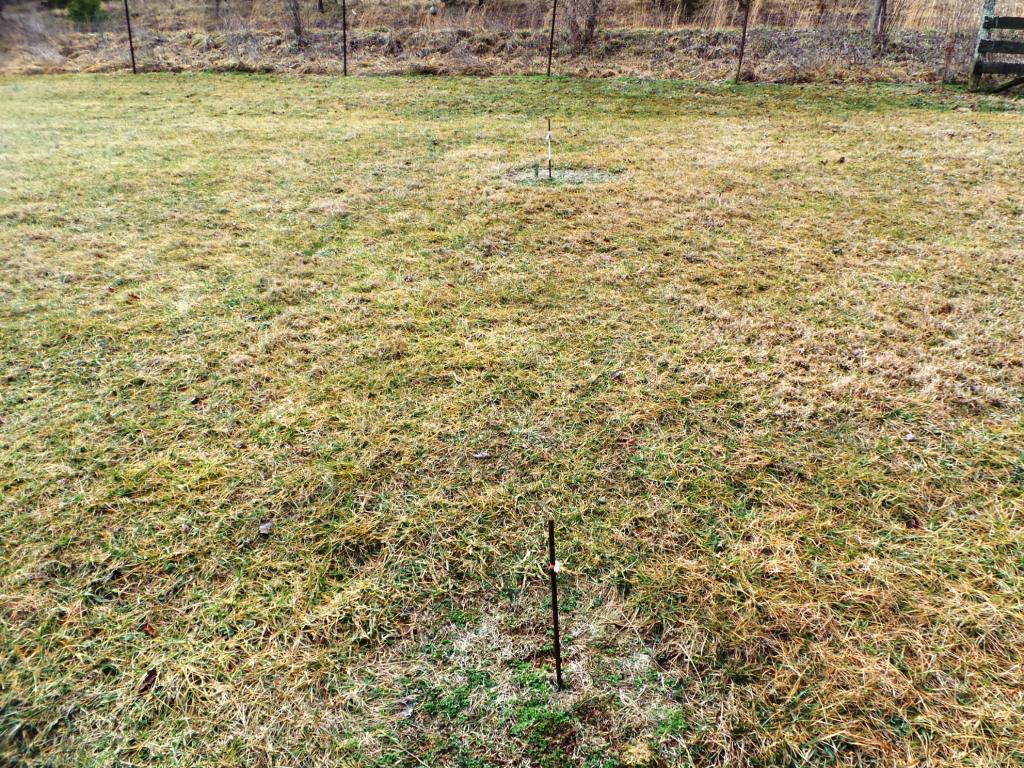 0 Jones Road Church Hill, TN 37642 - Photo 10 of 24 Photo 10