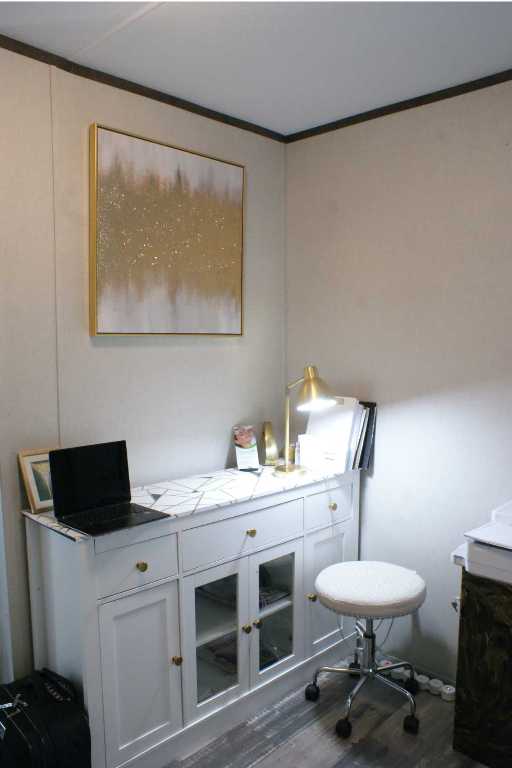 501 Mesquite Road San Marcos, TX 78666 - Photo 18 of 33 Office space with ornamental molding and dark wood-style flooring